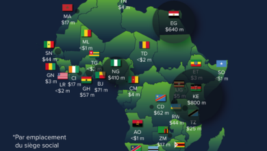 Analysis of the finncing of startups in Africa in 2023 via AfricanDataStoryteller